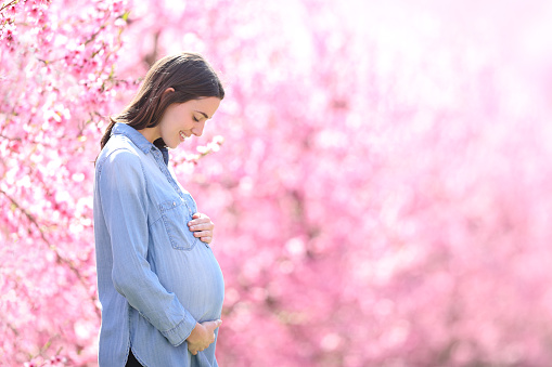 Pregnant Woman Looking At Belly In A Pink Flowered Field
