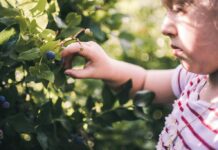 Summer Fun in the Delaware Valley: July 11-13