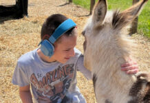 A boy with headphones pets a llama