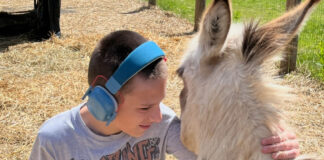 A boy with headphones pets a llama