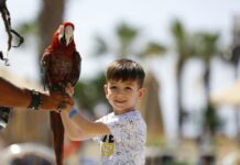 A child holding a large macaw