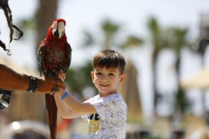 A child holding a large macaw