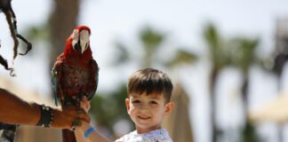 A child holding a large macaw
