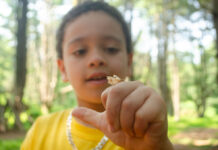 A Head Start on Summer Fun Kid looking at a bug