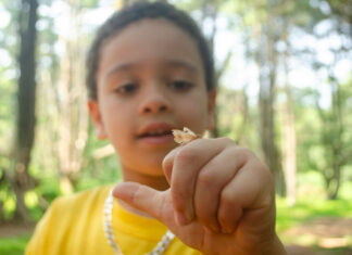 A Head Start on Summer Fun Kid looking at a bug