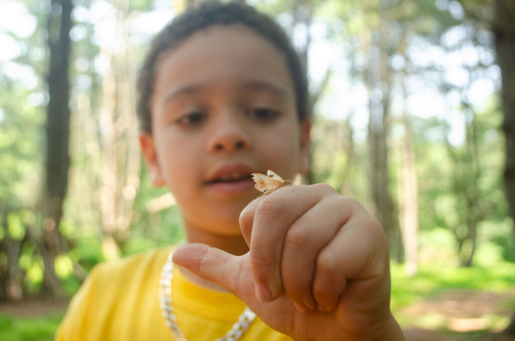 Kid looking at a bug