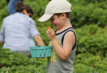 A boy with a carton of strawberries