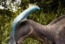 A child reaches up towards a dinosaur statue
