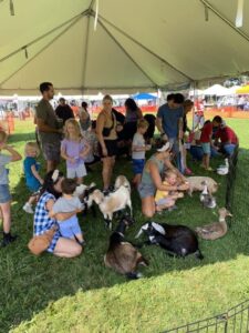 People play with goats at the Langhorne Rotary Pet Fair