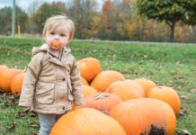14 Family-Friendly Holiday Activities to Do Around Philadelphia This Winter