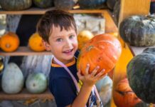 Farm and Fall Festival Fun in the Delaware Valley A young boy holds up a pumpkin excitedly, celebrating harvest season